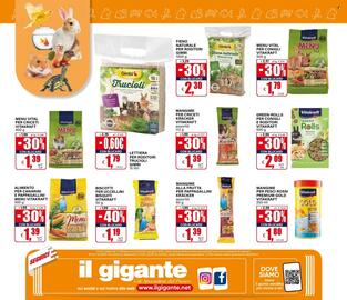 Volantino Il Gigante Pagina 8: Fieno naturale Gimbi €2,30, Mangime per criceti Kräcker Vitakraft €1,39