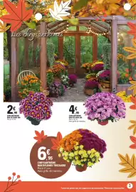 Catalogue E.Leclerc | Jardin automne page 3