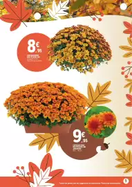 Catalogue E.Leclerc | Jardin automne page 5