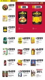 Catálogo Diarco Página 8: Taragui té diamantado €1.199,00, La planta de café €6.499,00