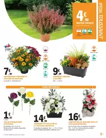 Catalogue E.Leclerc Jardi | Préparez votre jardin page 5: JARDINIÈRE COMPOSÉE D'AUTOMNE €9,90