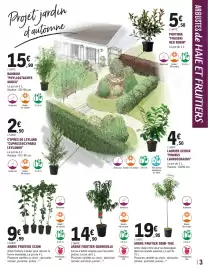 Catalogue E.Leclerc Brico | Jardin page 3: ARBRE FRUITIER QUENOUILLE €14,90, ARBRE FRUITIER SCION €9,99