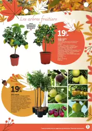 Catalogue E.Leclerc Jardi page 3