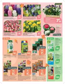 Catalogue Point Vert page 2: TULIPES DARWIN EN MÉLANGE €4,99, Narcisses Miniatures Tête à Tête €2,95