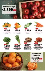 Catálogo Coto semana 42 Página 3: Nuez grande con cáscara €89.990,00, Cebolla de verdeo €1.699,00