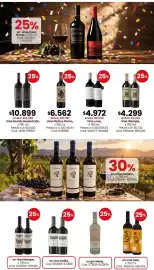Catálogo Coto semana 42 Página 9: Vino plata o plomo €6.562,00, Vino €4.299,00