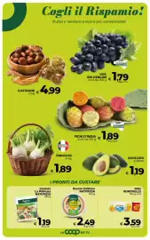 Volantino In Coop Pagina 11: Uva Big Perlon €1,79, Insalata La Pitittusa Naturizia €1,19