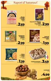 Volantino Coop Radenza Pagina 19: Zucca a Cubetti COOP al Naturale €1,39, Bontà di Funghi Misti COOP €1,99