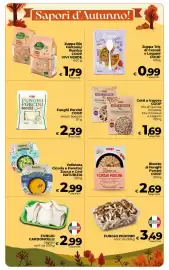 Volantino Ipercoop Radenza Pagina 10: Funghi Porcini COOP secchi Speciali €2,39