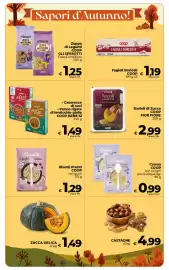 Volantino Ipercoop Radenza Pagina 11: Ravioli di Zucca Fior Fiore €2,99, Crema COOP con funghi porcini/asparagi €0,99