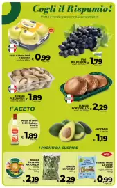 Volantino Ipercoop Radenza Pagina 24: Uva Big Perlon €1,79, Funghi Portobello €2,29