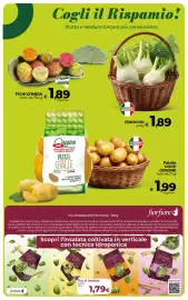 Volantino Ipercoop Radenza Pagina 25: Fichi d'India €1,89, Finocchi €1,89