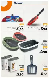 Volantino Ipercoop Radenza Pagina 51: Lettiera Plana €4,90, Pet Food Box PLANA €2,90