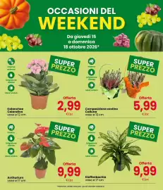 Volantino Interspar Pagina 3