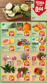 REWE City Prospekt woche 42 Seite 5