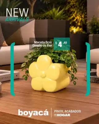 Boyacá (válido hasta 2-11)