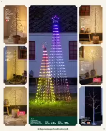 Harald Nyborg tilbudsavis Side 11: Piletræ 96 LED €79,00, Lystræ 240 LED €199,00