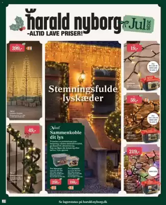 Harald Nyborg (gælder indtil 31-12)