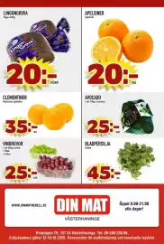 Din Mat reklamblad vecka 42 Sida 8: Clementiner €35,00, Pagon lingon grova €20,00