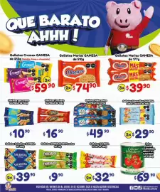 Folleto El Florido Página 11