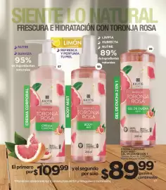 Catálogo Stanhome Página 45