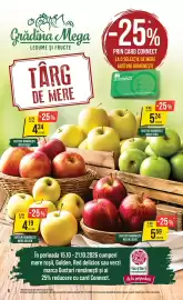 Catalog Mega Image săptămâna 42 Pagină 6: Gusturi Românești Mere Roșii €4,34, Gusturi Românești Mere Verzi €5,24