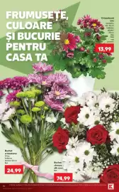 Catalog Kaufland săptămâna 42 Pagină 14