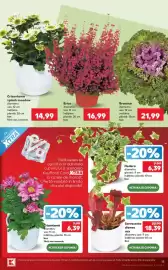Catalog Kaufland săptămâna 42 Pagină 15