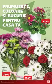 Catalog Kaufland săptămâna 42 Pagină 14