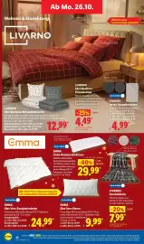Lidl Prospekt woche 44 Seite 12: EMMA Aloe Vera-Kissen €9,99, LIVARNO Kuscheldecke €7,99