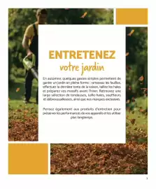 Catalogue Bricomarché page 3: ENTRETENEZ votre jardin En automne, quelques gestes simples permettent de garder un jardin en