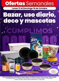 Catálogo Coto semana 42 Página 1