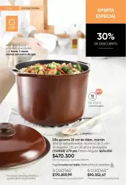 Catálogo Avon Página 22: Ideal - olla guisera 28 cm de diám €470.300,00