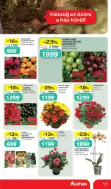 Auchan akciós újság hét 42 Oldal 53