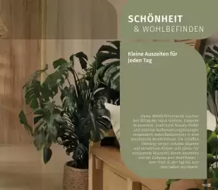 Müller DE folder Pagina 113