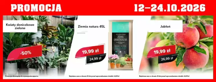 Szarotka gazetka Strona 2