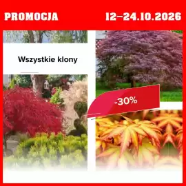 Szarotka gazetka Strona 6