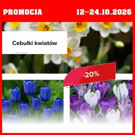 Szarotka gazetka Strona 7