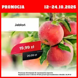 Szarotka gazetka Strona 8