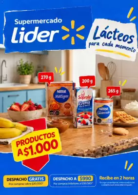 Catálogo Lider (válido hasta 18-10)