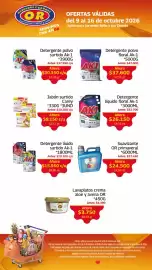 Catálogo Mercados OR semana 42 Página 20: Detergente polvo floral Ak-1 €37.600,00, Detergente polvo surtido Ak-1 €30.350,00