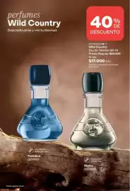 Catálogo Avon Página 98: Wild country eau de toilette €17.000,00