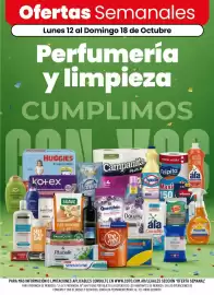 Catálogo Coto semana 42 Página 1