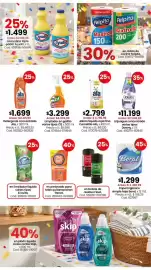 Catálogo Coto semana 42 Página 3: Ala - detergente concentrado €1.699,00