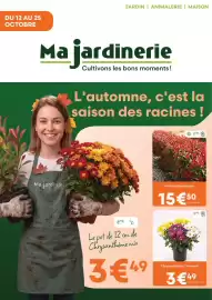 Catalogue Ma Jardinerie page 1: Chrysanthème carnaval €3,49, Photinia red robin €15,50