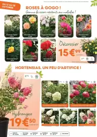Catalogue Ma Jardinerie page 2: Opalia blanc €15,99, Hydrangea quercifolia applause €19,50
