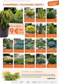 Catalogue Ma Jardinerie page 3: Juniperus × media 'mint julep' €9,99, Genévrier 'old gold' (juniperus × media) €9,99