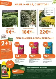 Catalogue Ma Jardinerie page 4: Décor jardin terreau plantation 45 l €9,99, Carpinus betulus €9,99