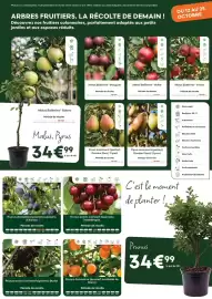Catalogue Ma Jardinerie page 5: Prunus avium prunus avium (cerisier) bigarreau hedelfingen €34,99