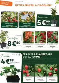 Catalogue Ma Jardinerie page 6: Fraisier gento nova €4,99, Groseilliers €8,50